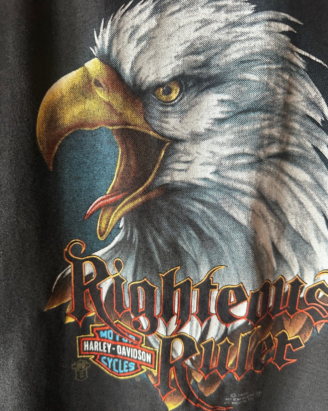 Vintage 3D Emblem Righteous Ruler eagle graphic detail