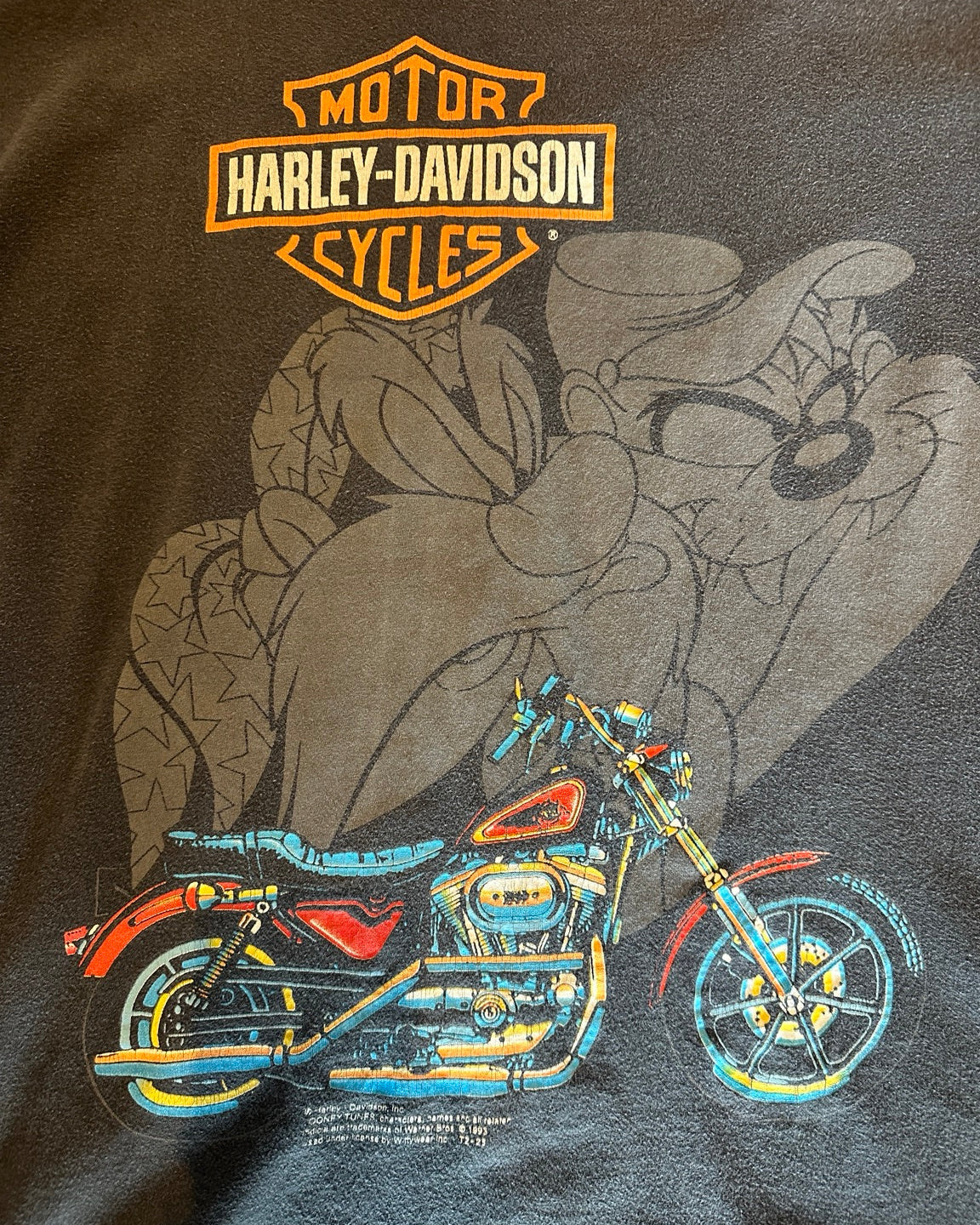 Vintage motorcycle graphic print detail