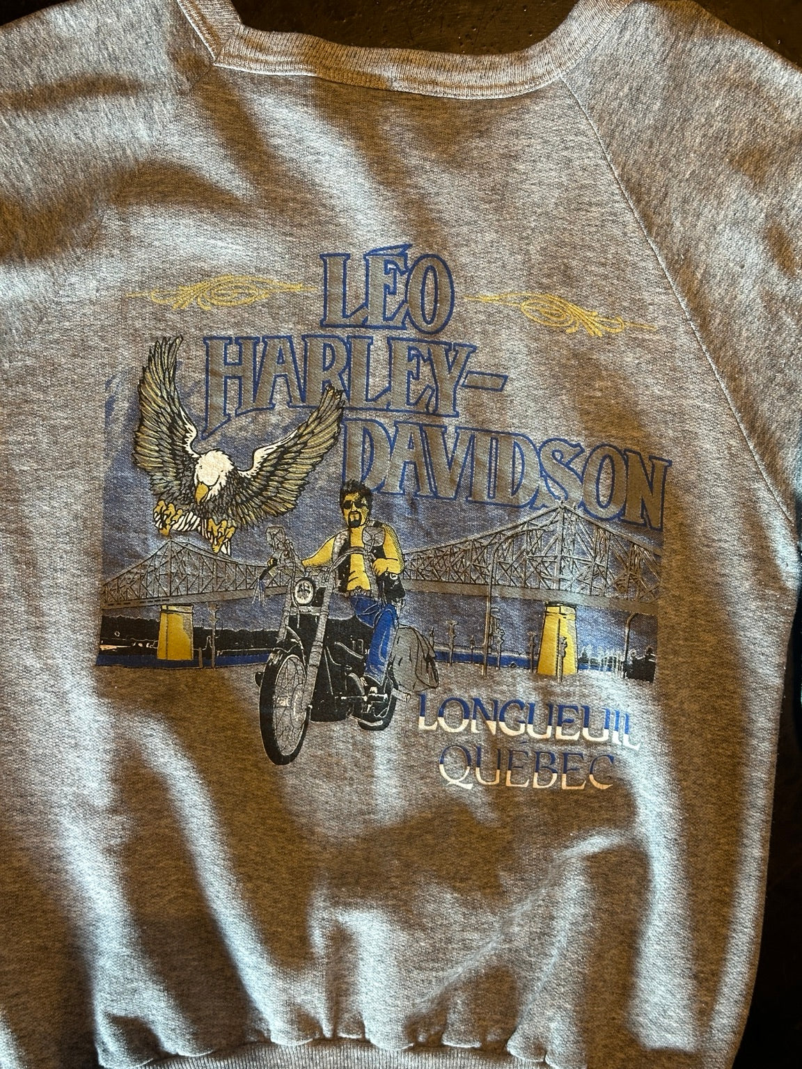 Rear view showing Leo Harley-Davidson Longueuil Quebec graphic