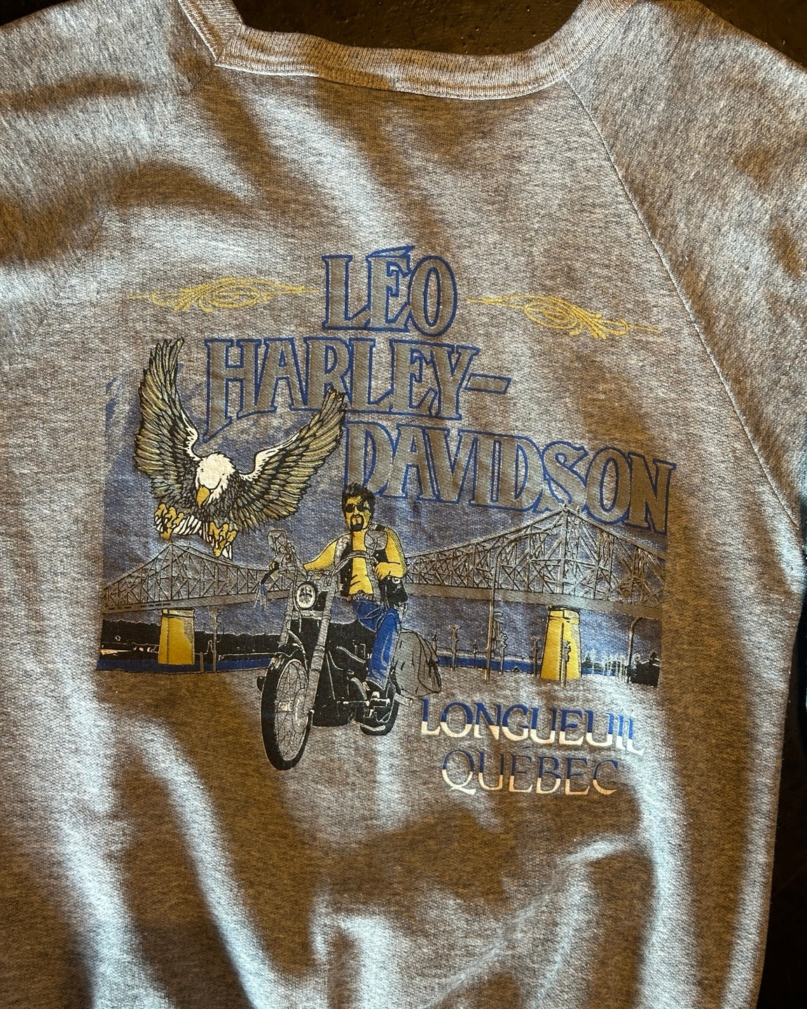 Rear view showing Leo Harley-Davidson Longueuil Quebec graphic