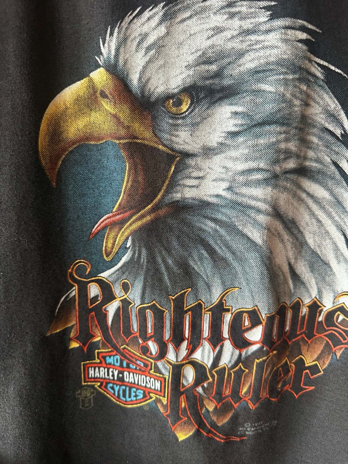 Vintage 3D Emblem Righteous Ruler eagle graphic detail