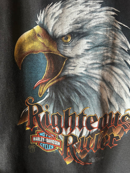 Vintage 3D Emblem Righteous Ruler eagle graphic detail